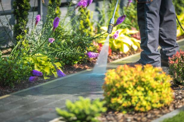 Best Parking Lot and Garage Cleaning  in Palmer Lake, CO