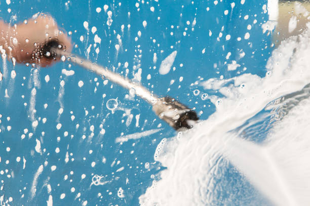 Animal Enclosure Cleaning in Palmer Lake, CO